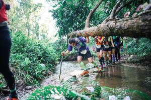 BIB: 
                            <button type="button" onclick="openModal(25459548)" class="btn btn-primary btn-sm float-right btn-popup" data-toggle="modal" data-target=".modal-high-quality">
                        <i class="fas fa-shopping-cart"></i> Add to Cart
                    </button>
                                            <button type="button" onclick="isThisMe(25459548, true)" class="btn btn-success btn-sm float-right btn-popup btn-isme hidden" data-toggle="tooltip" data-placement="bottom" title="นี่คือรูปของคุณใช่ไหม คลิกที่นี่เพื่อเอาเข้าอัลบั้ม">
                        <i class="fas fa-plus"></i> Add to album
                    </button>
                    <button type="button" onclick="isThisMe(25459548, false)" class="btn btn-warning btn-sm float-right btn-popup btn-isnotme hidden">
                        <i class="fas fa-ban"></i> Remove from album
                    </button>